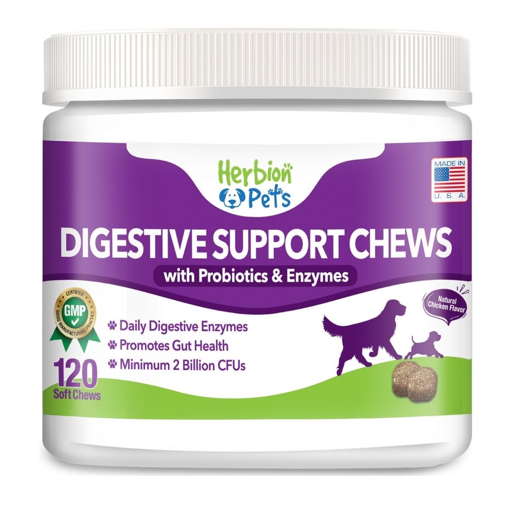 Herbion Pets Digestive CHews